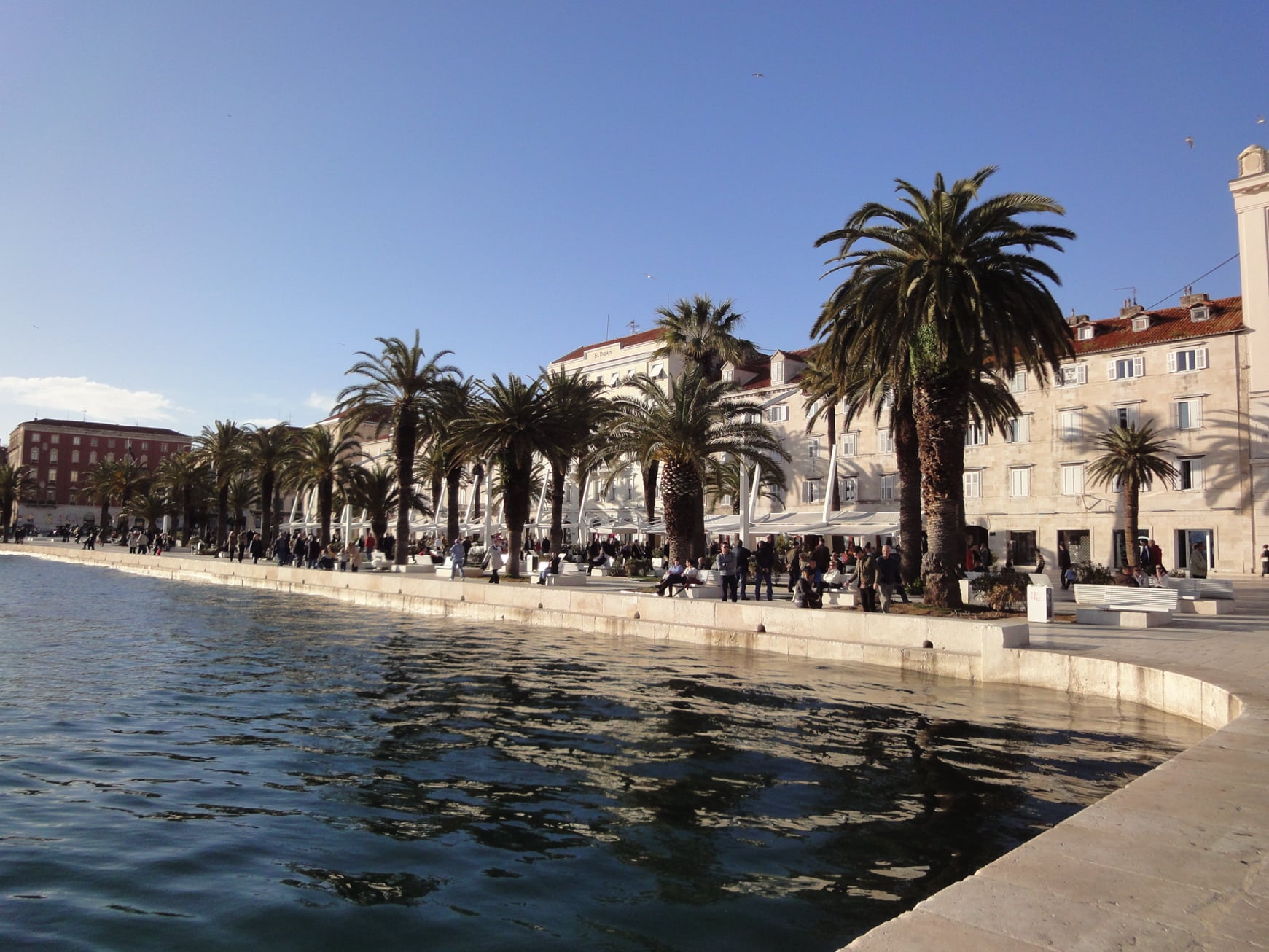 palmen_uferpromenade