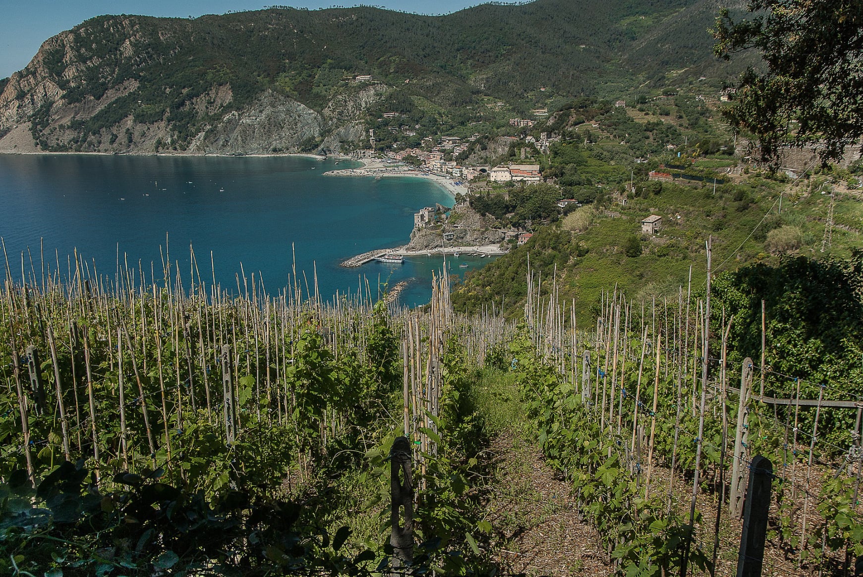 monterosso