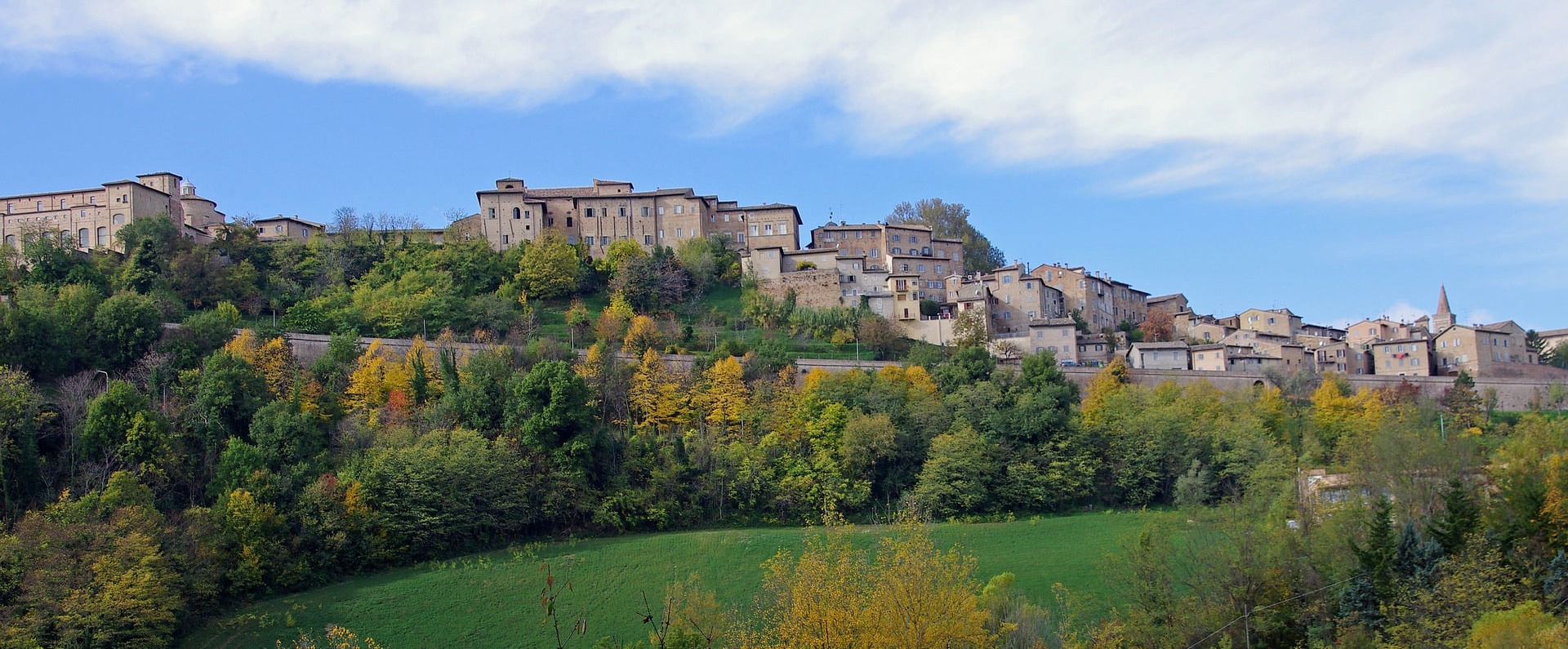 urbino