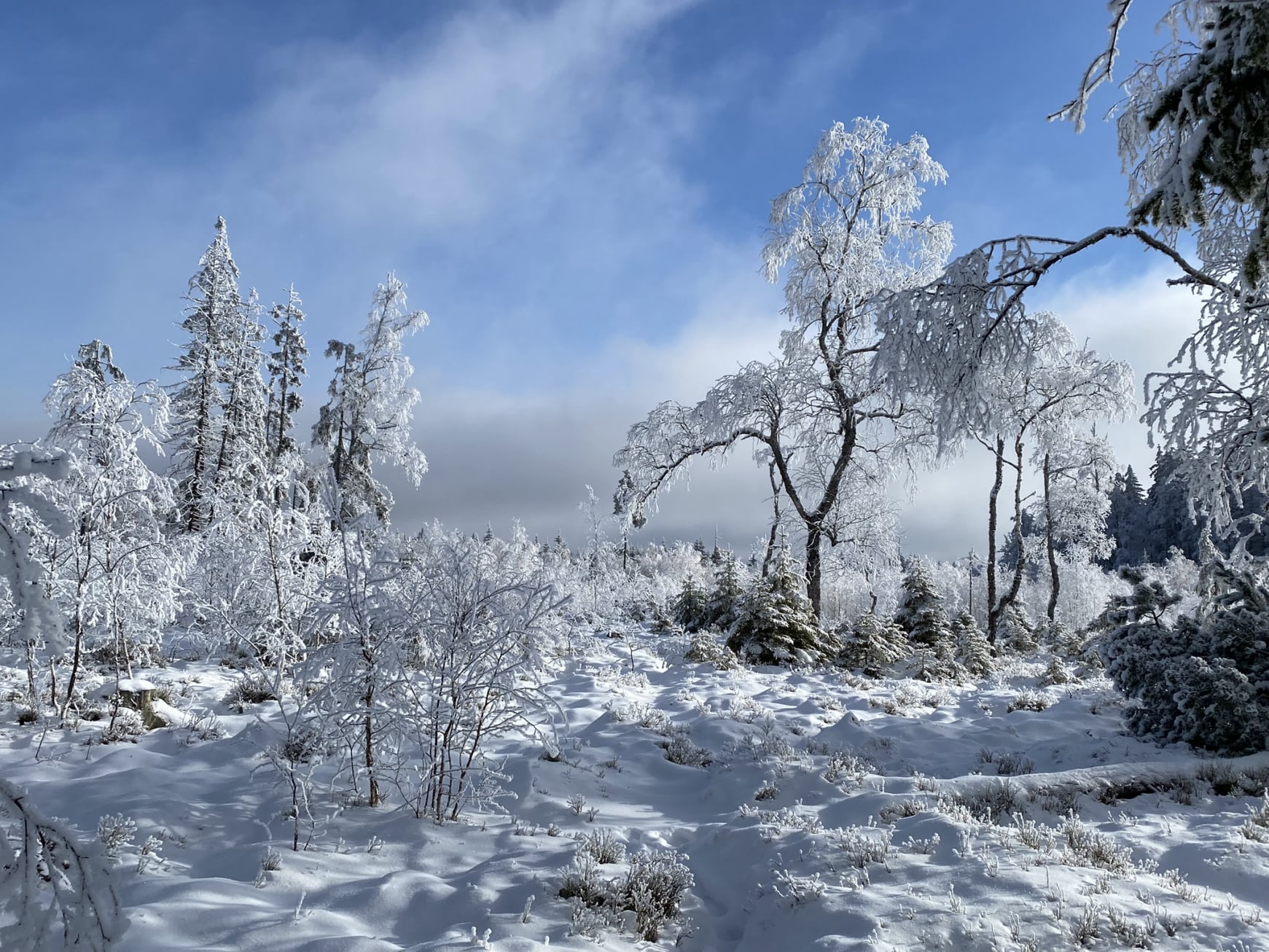 winterlandschaft